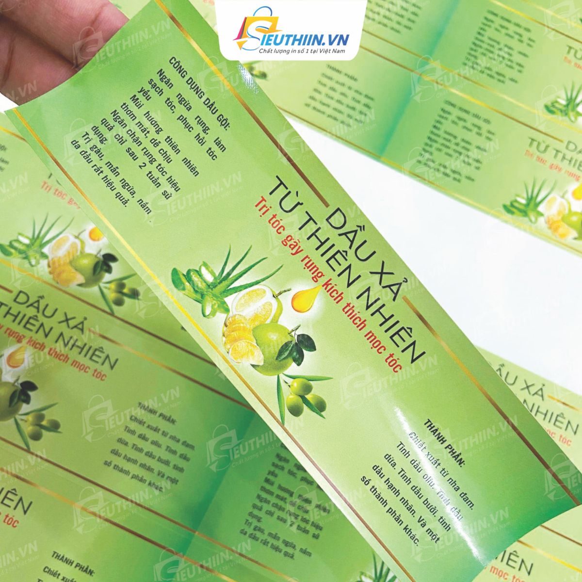 Logo thương hiệu