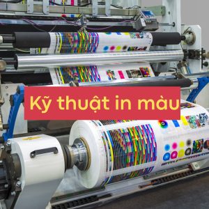 Kỹ thuật in màu trên decal giấy
