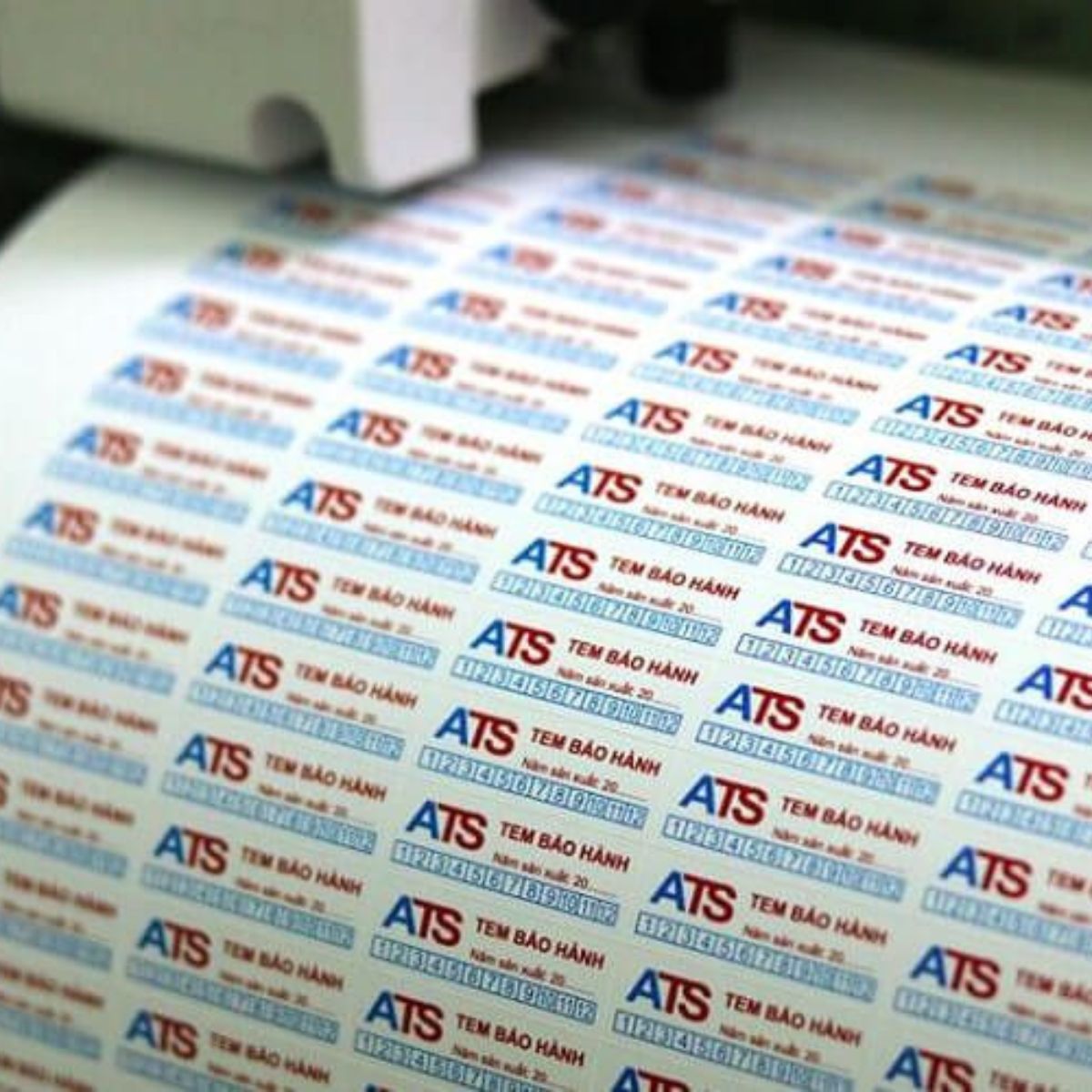 Quá trình in tem decal bảo hành đạt chuẩn