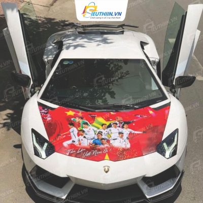 Decal dán xe là gì?