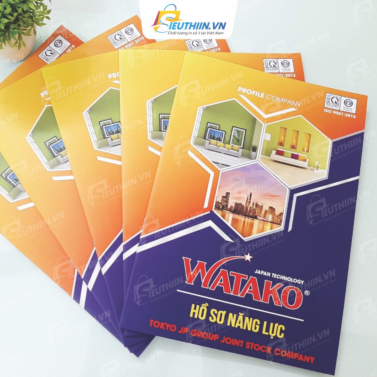 Mẫu profile công ty chỉn chu