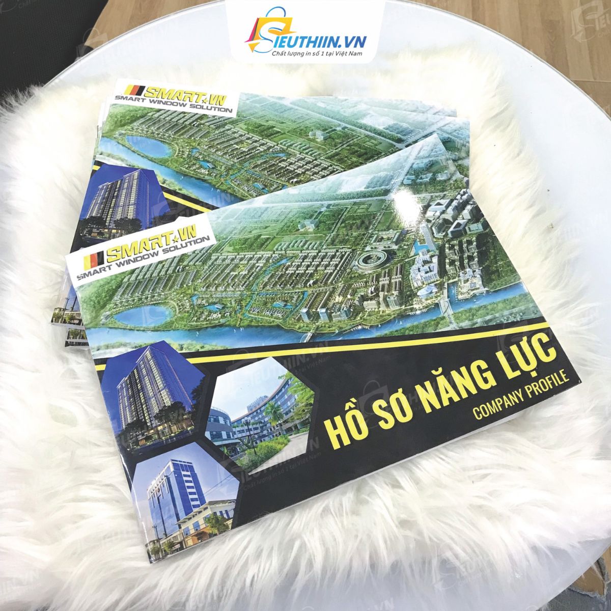 Hồ sơ năng lực ấn tượng