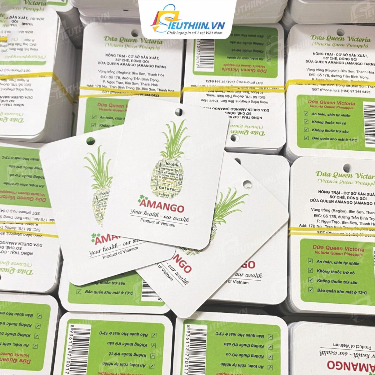 Mẫu tag giấy sản phẩm - 22