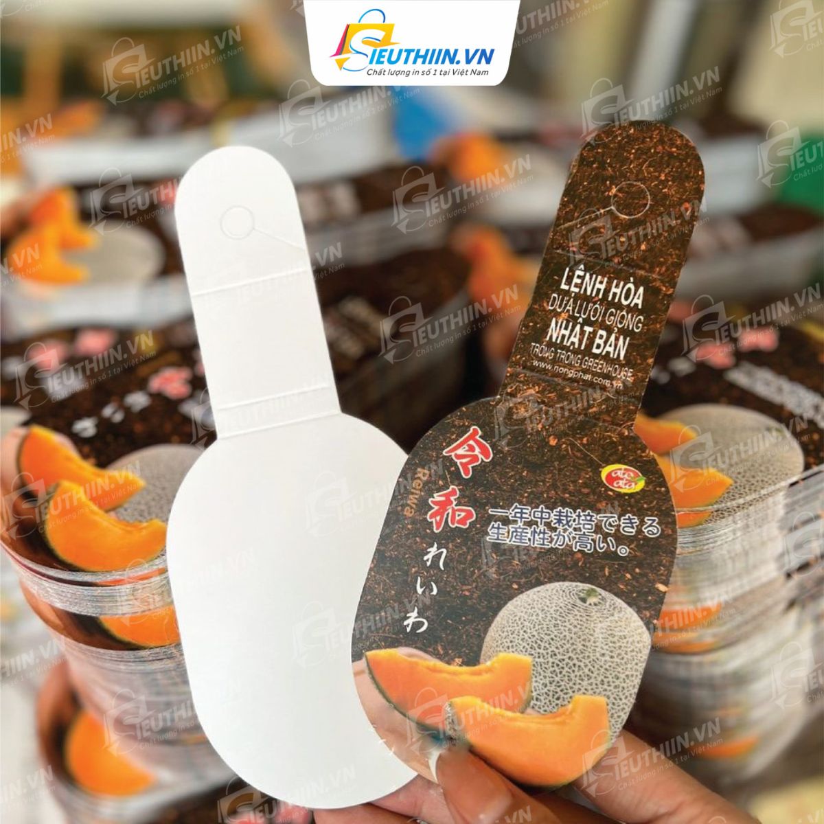 Mẫu tag giấy sản phẩm - 30