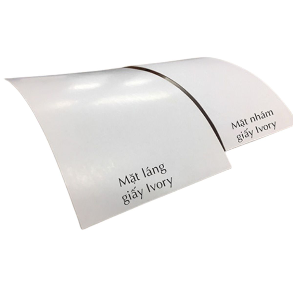 Giấy Ivory là gì?