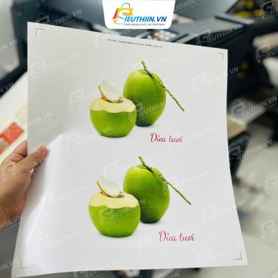 In tem dán trái cây, hoa quả có vai trò như thế nào?