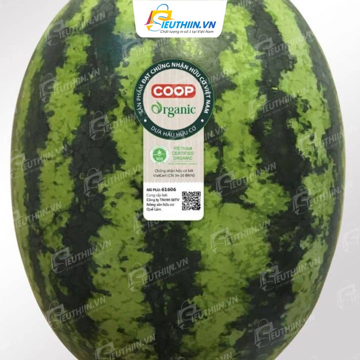 Tem dán dưa hấu đẹp