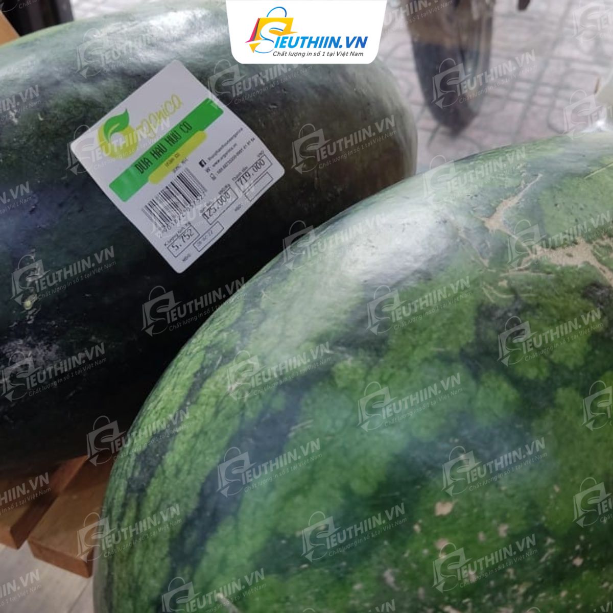 Tem dưa hấu chuyên nghiệp