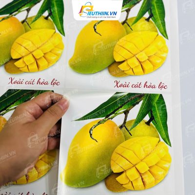Tem nhãn dán quả xoài tươi