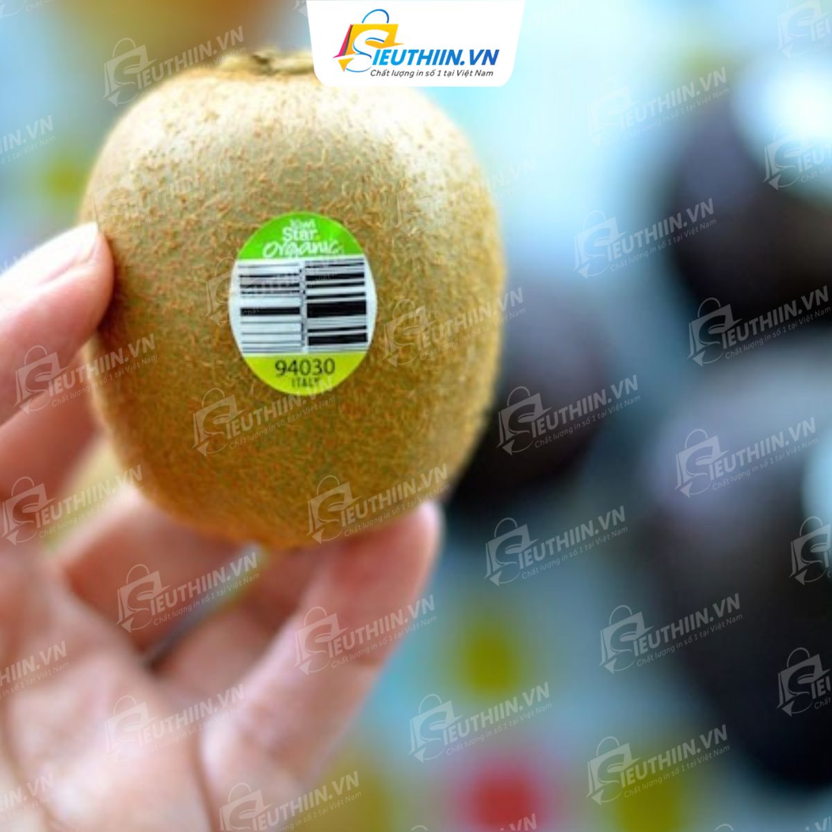 Tem dán quả kiwi