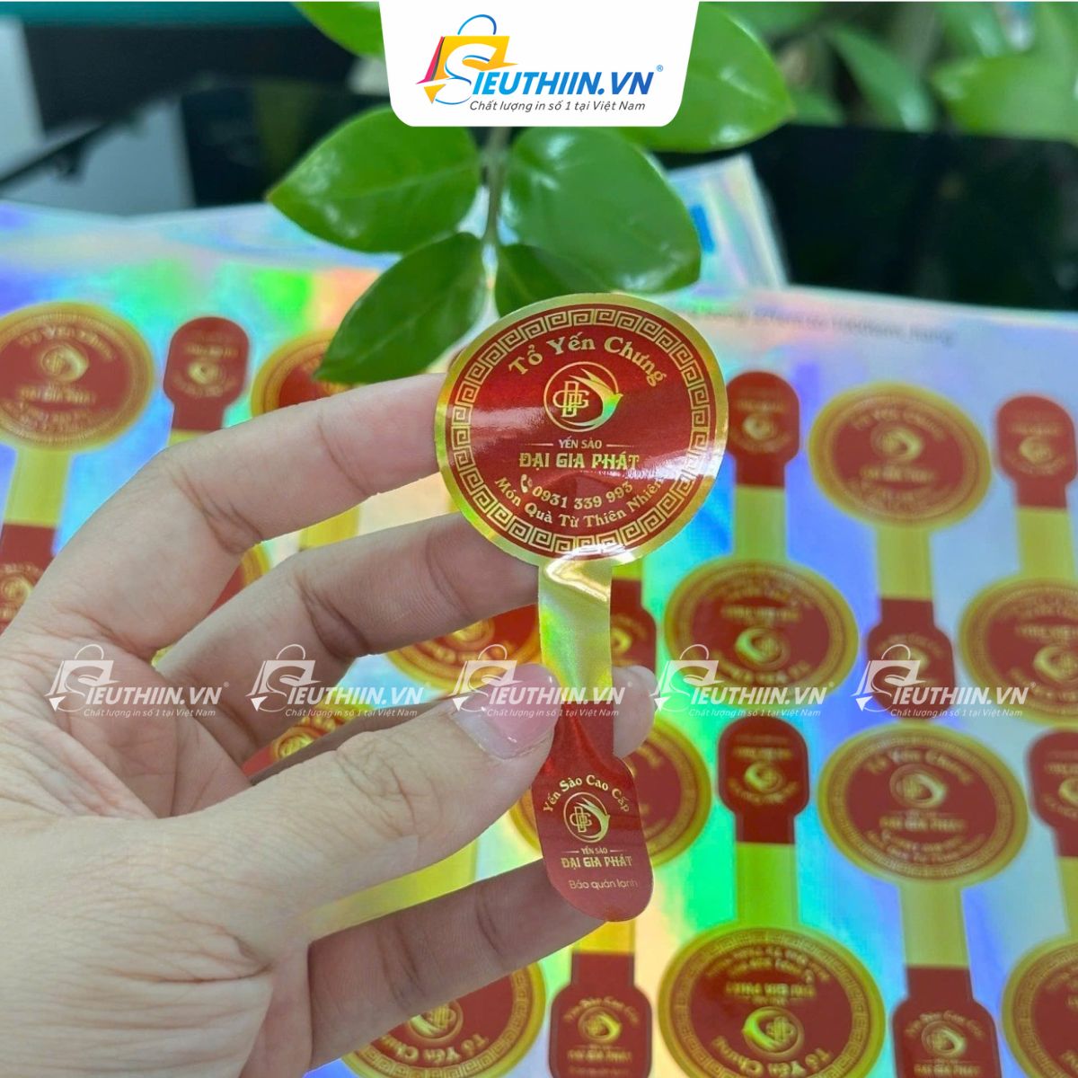 Tem yến sào đẹp, bắt mắt - 39