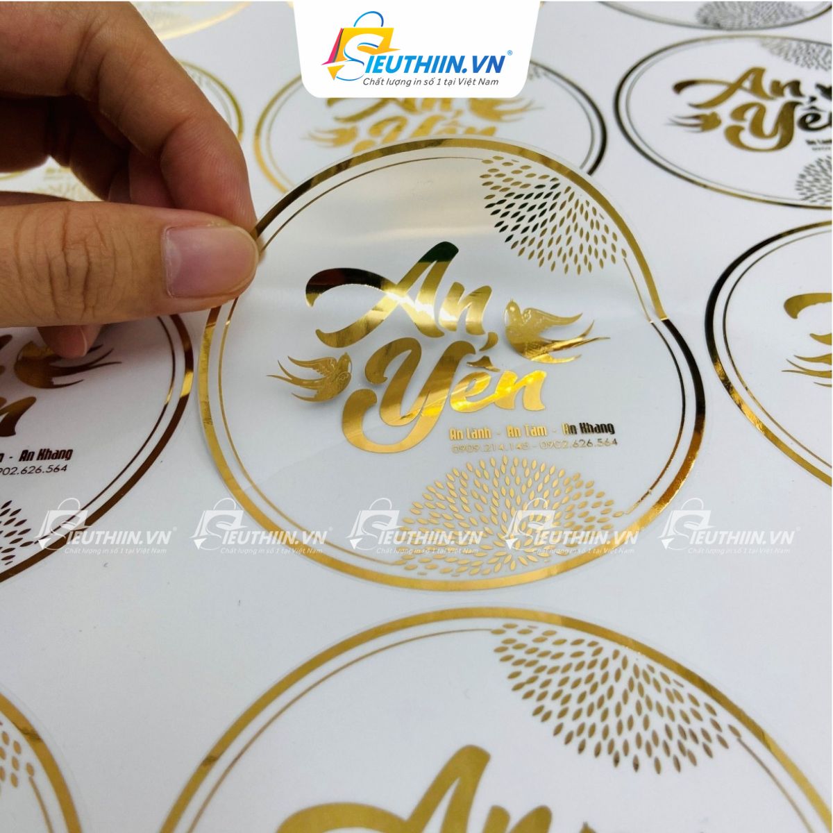 Tem yến sào đẹp, bắt mắt - 10