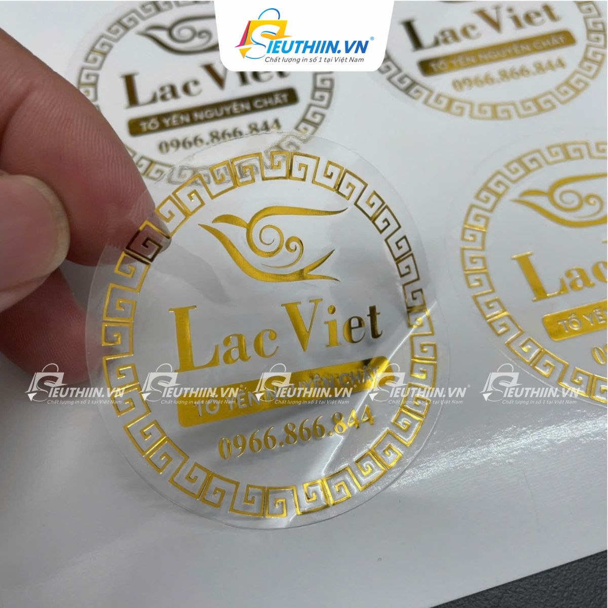 Tem yến sào đẹp, bắt mắt - 13