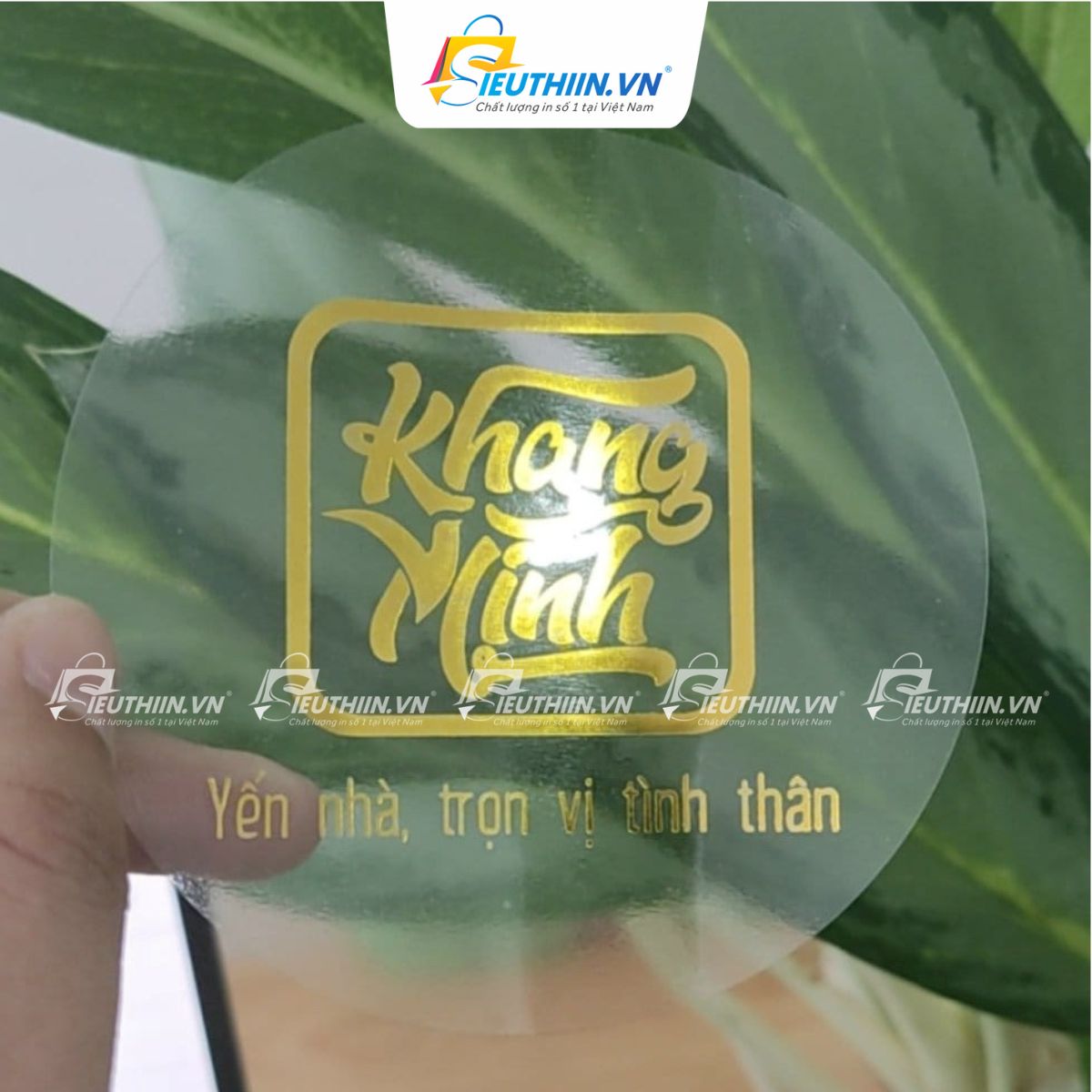 Tem yến sào đẹp, bắt mắt - 12