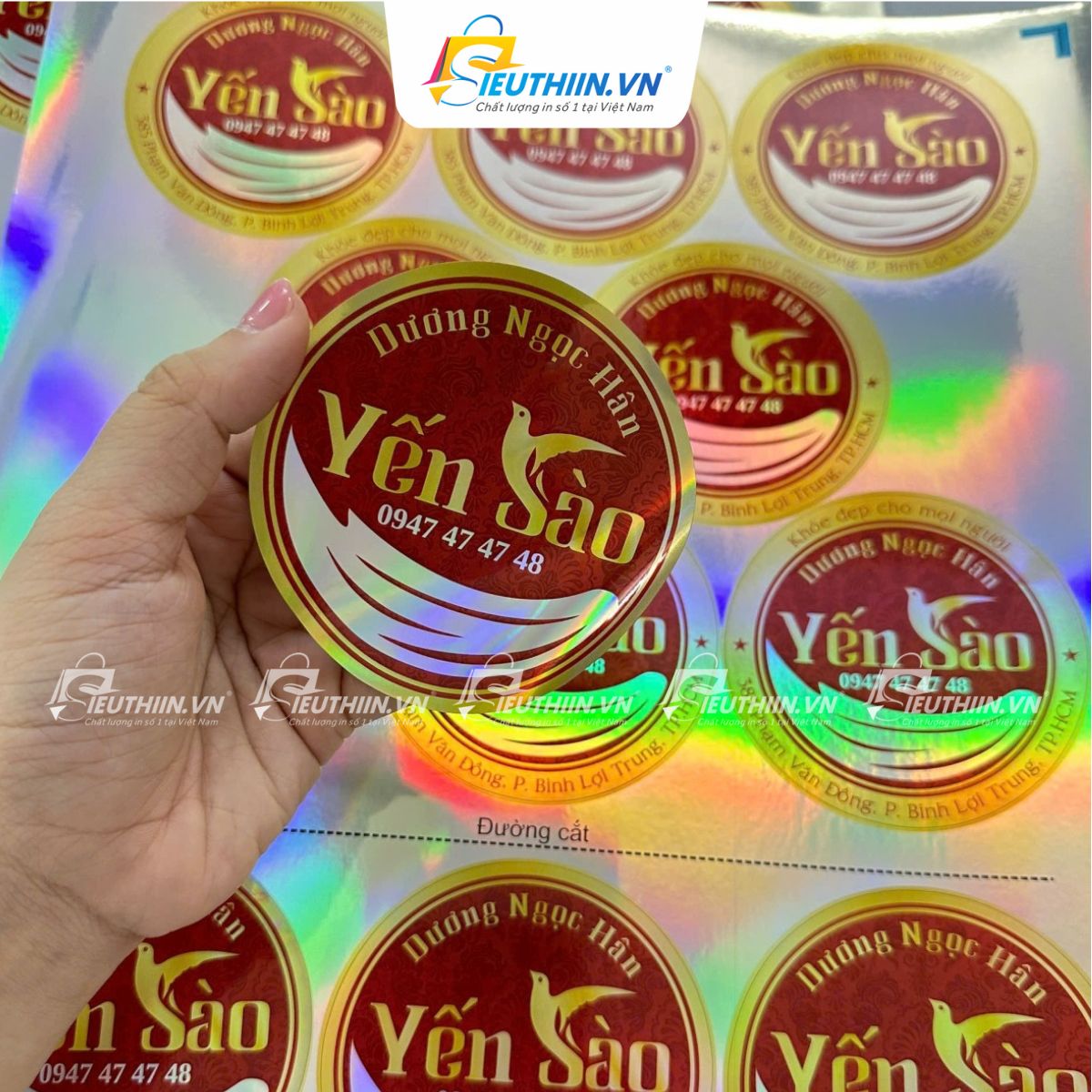 Tem yến sào đẹp, bắt mắt - 1