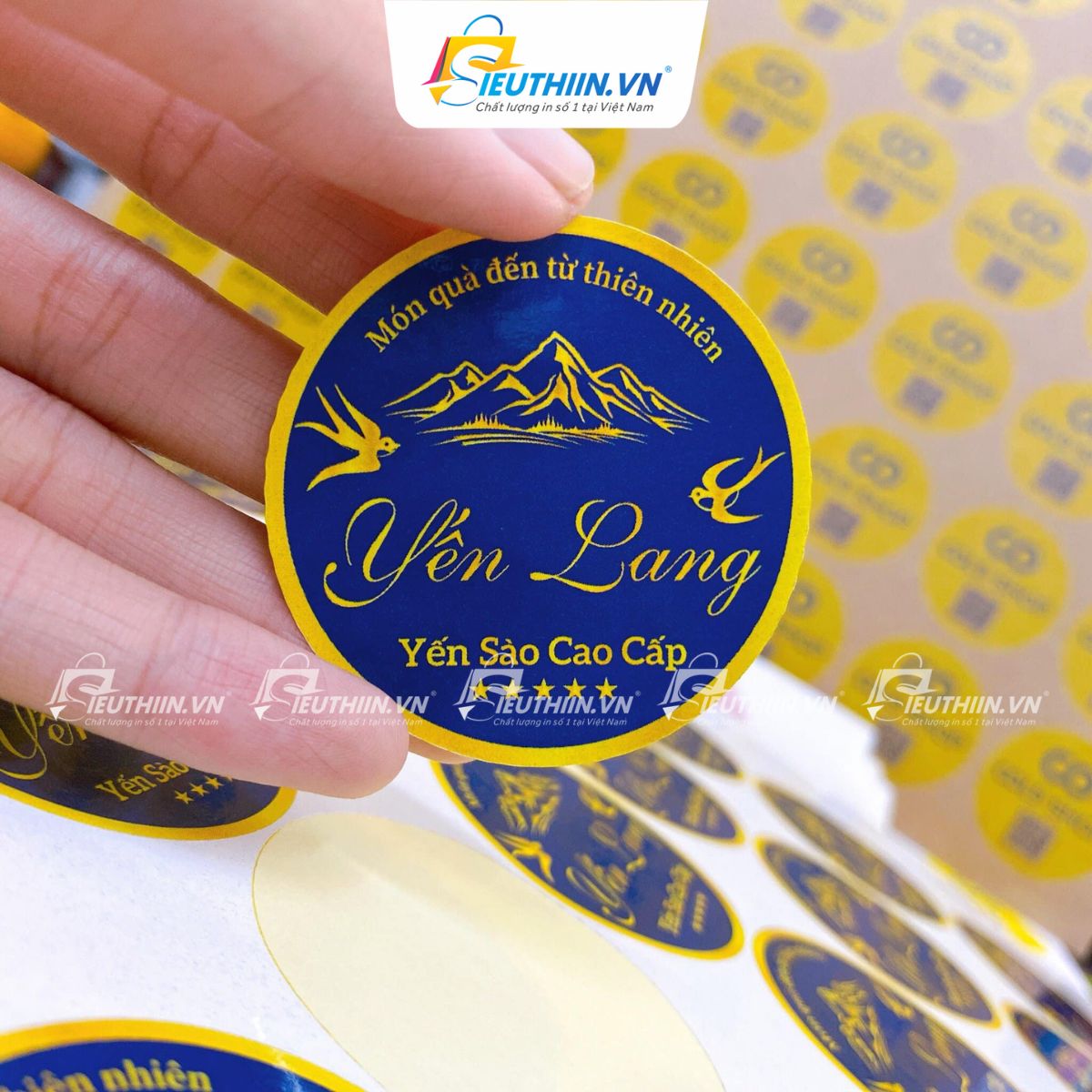 Tem yến sào đẹp, bắt mắt - 30