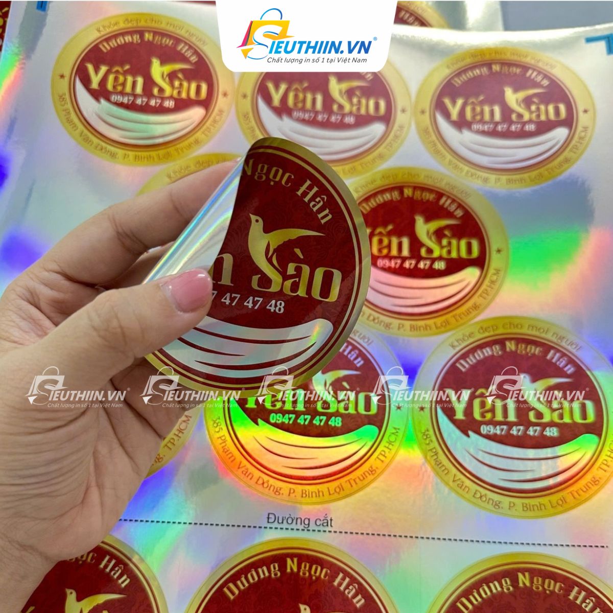 Tem yến sào đẹp, bắt mắt - 2