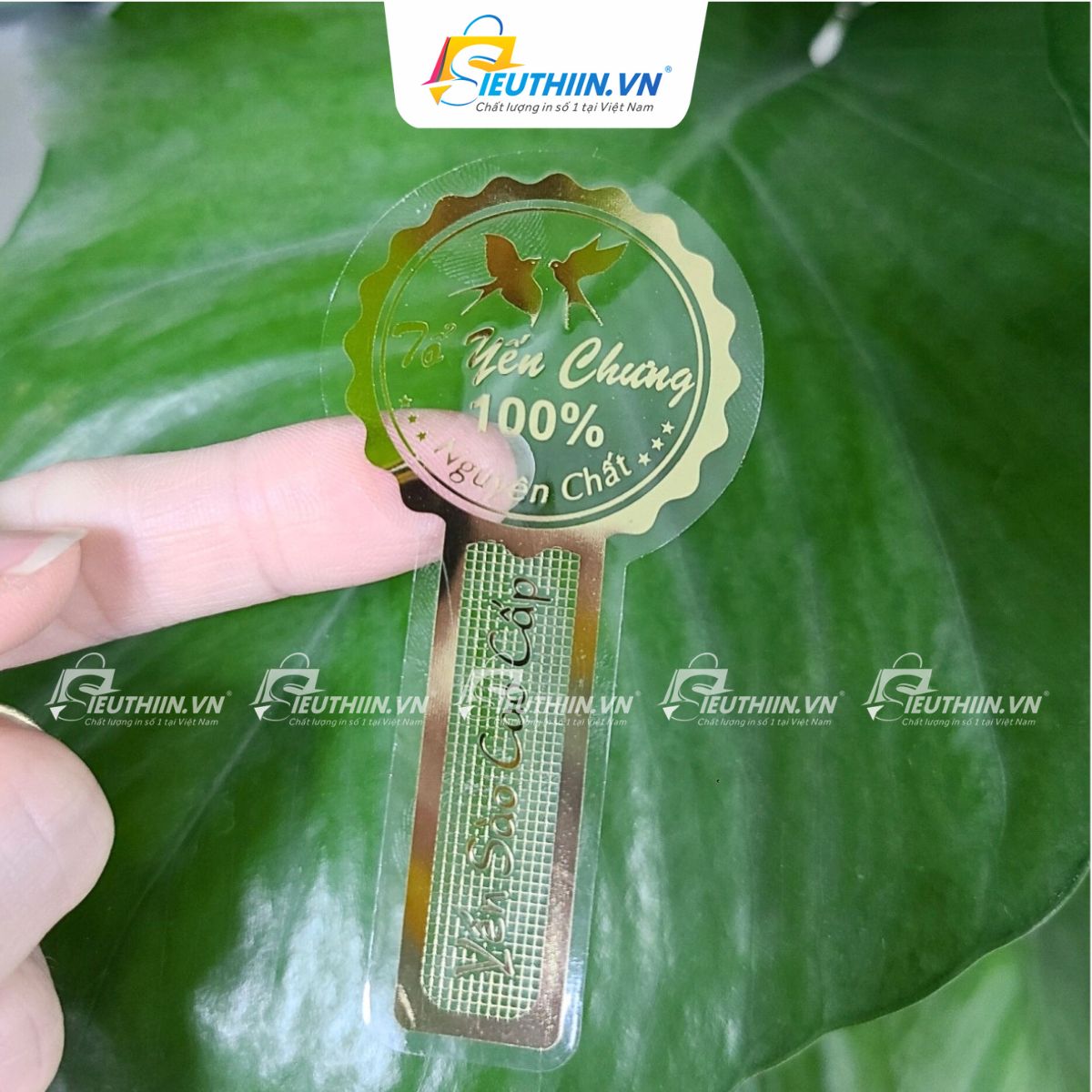 Tem yến sào đẹp, bắt mắt - 6