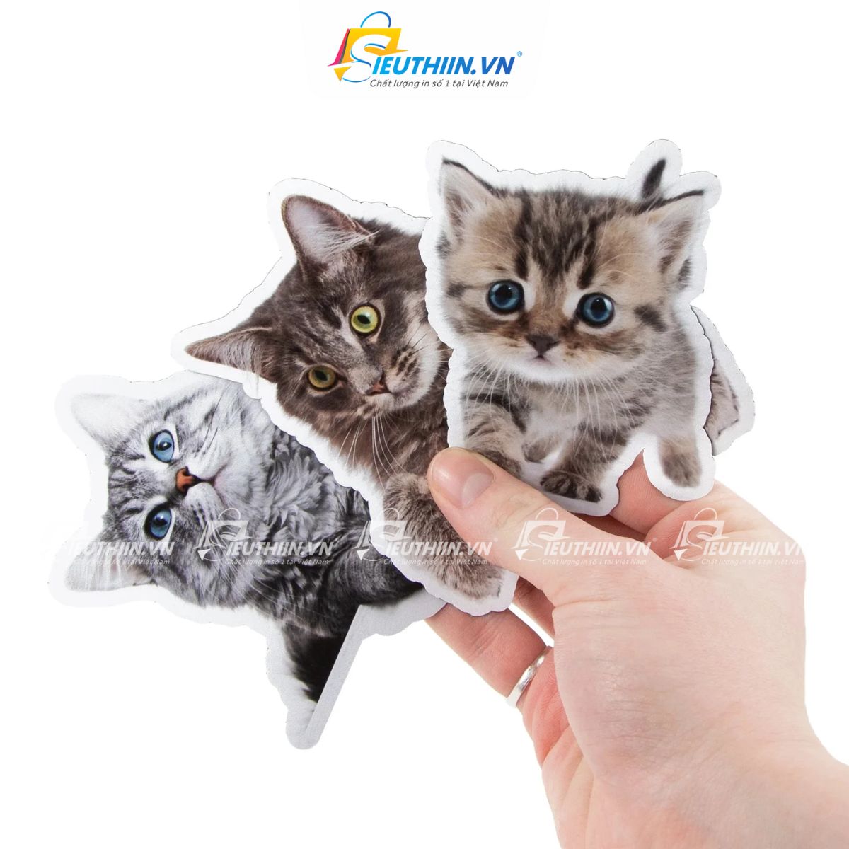 Sticker thú cưng dễ thương, cute, ấn tượng - 16