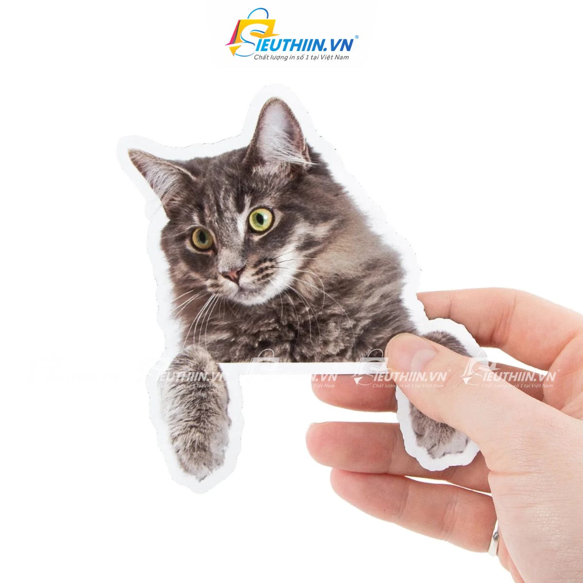 Sticker thú cưng dễ thương, cute, ấn tượng - 15