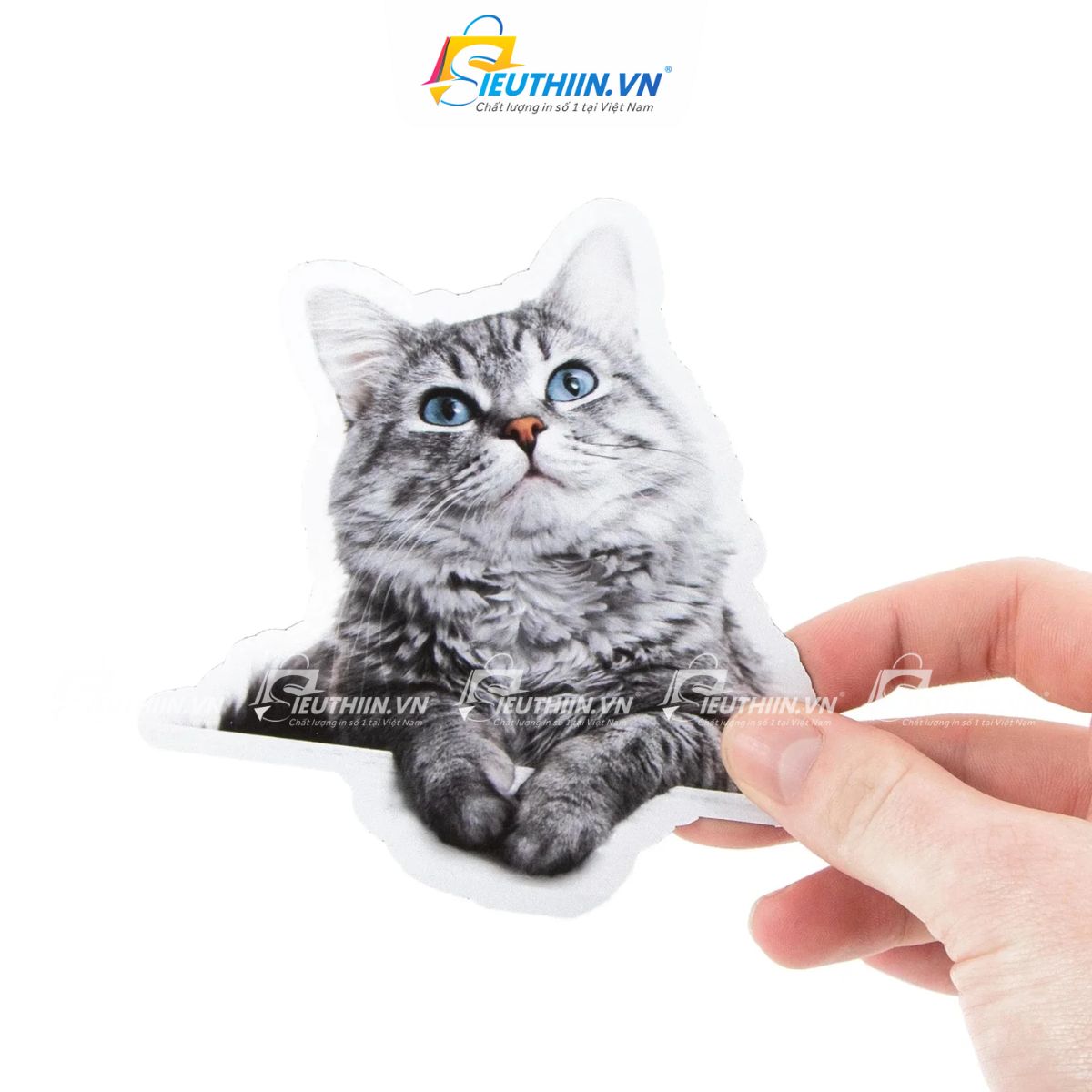 Sticker thú cưng dễ thương, cute, ấn tượng - 20