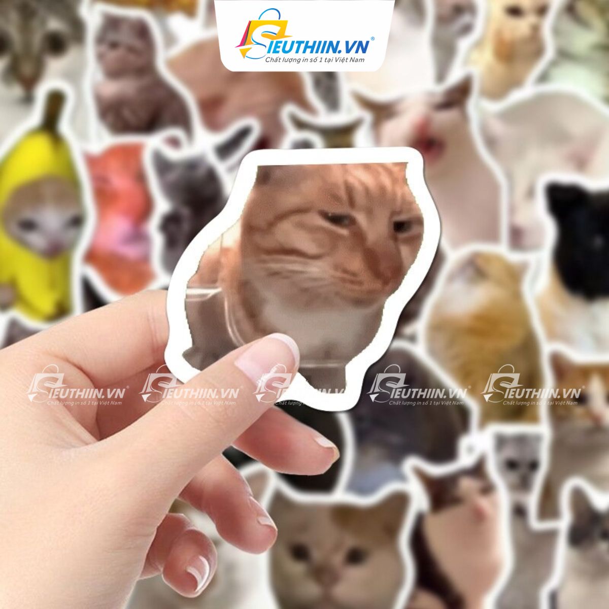 Sticker thú cưng dễ thương, cute, ấn tượng - 22