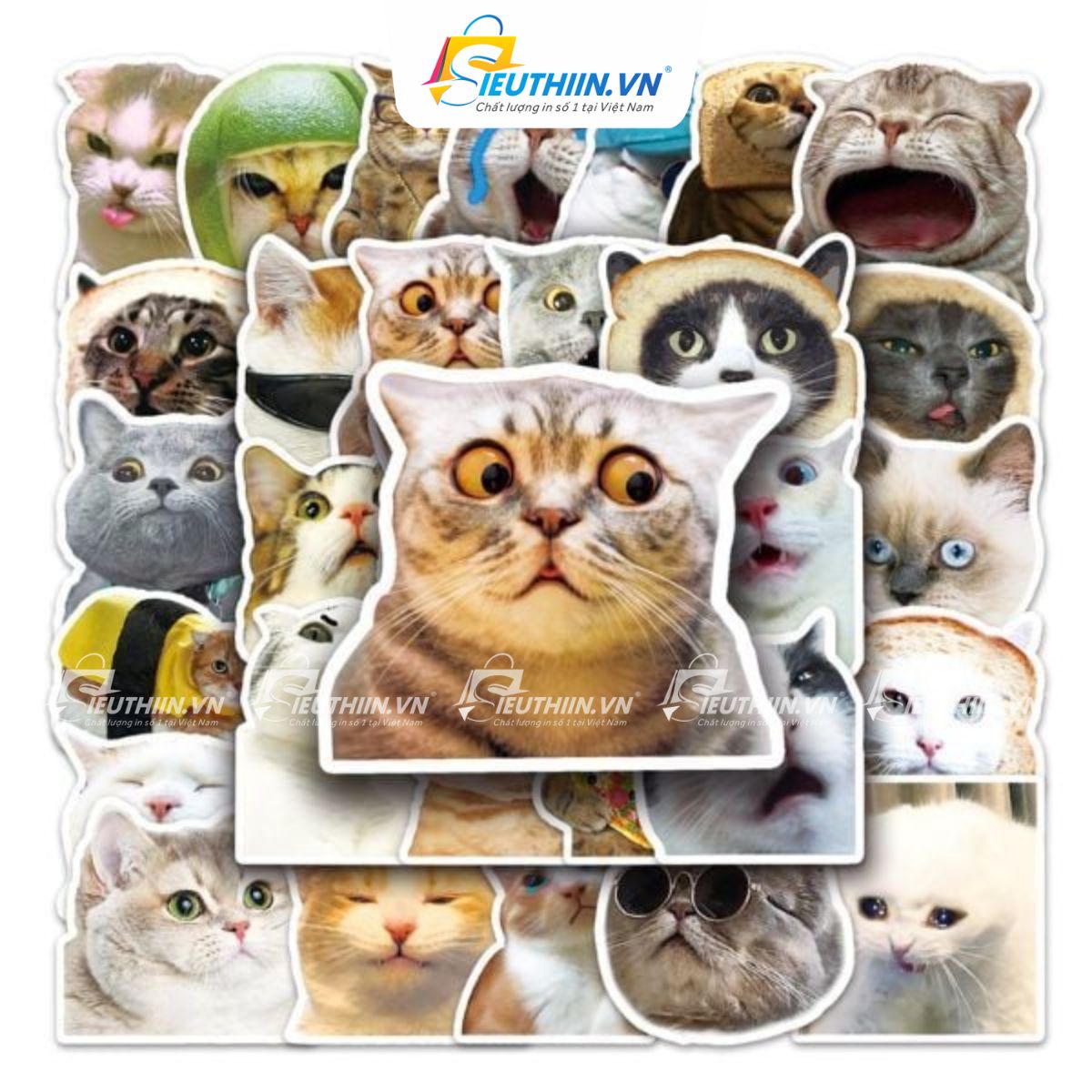 Sticker thú cưng dễ thương, cute, ấn tượng - 15