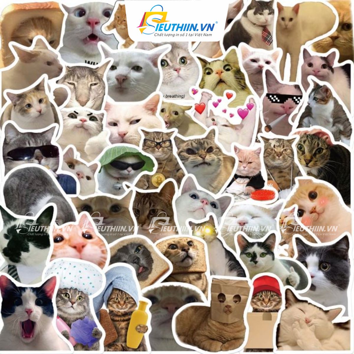 Sticker thú cưng dễ thương, cute, ấn tượng - 27
