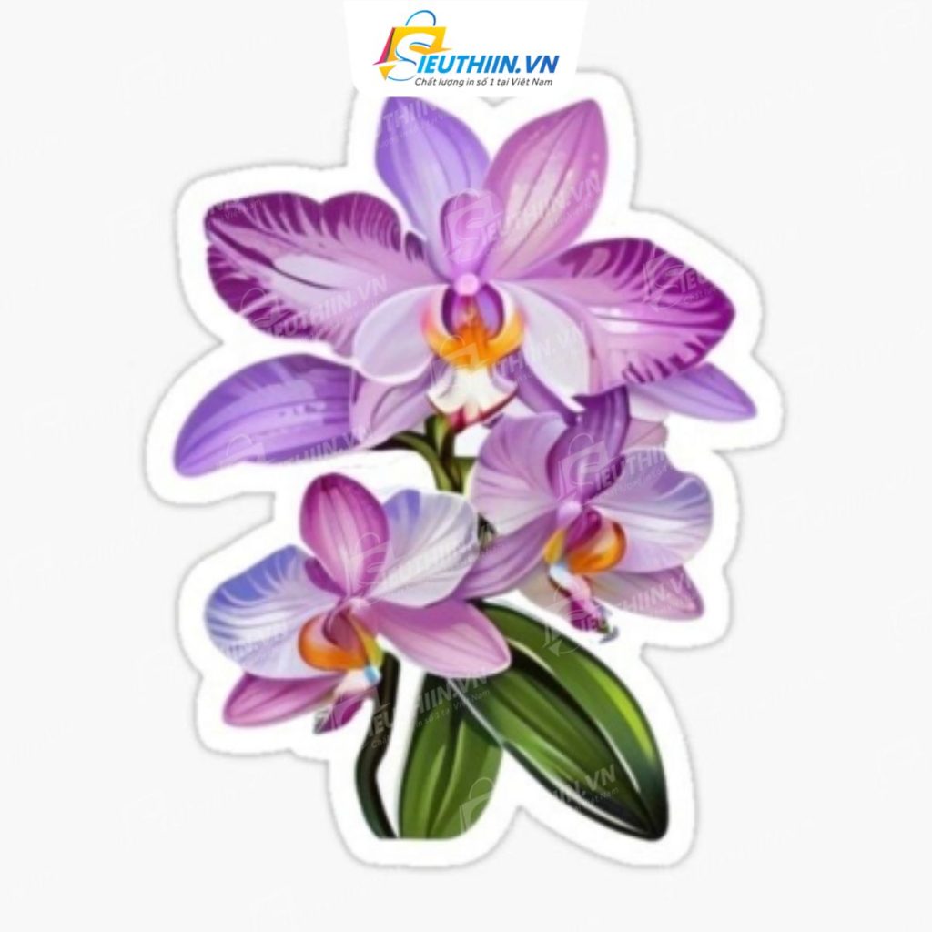 99+ Mẫu Sticker Hoa Đầy Màu Sắc, Ấn Tượng Và Thu Hút