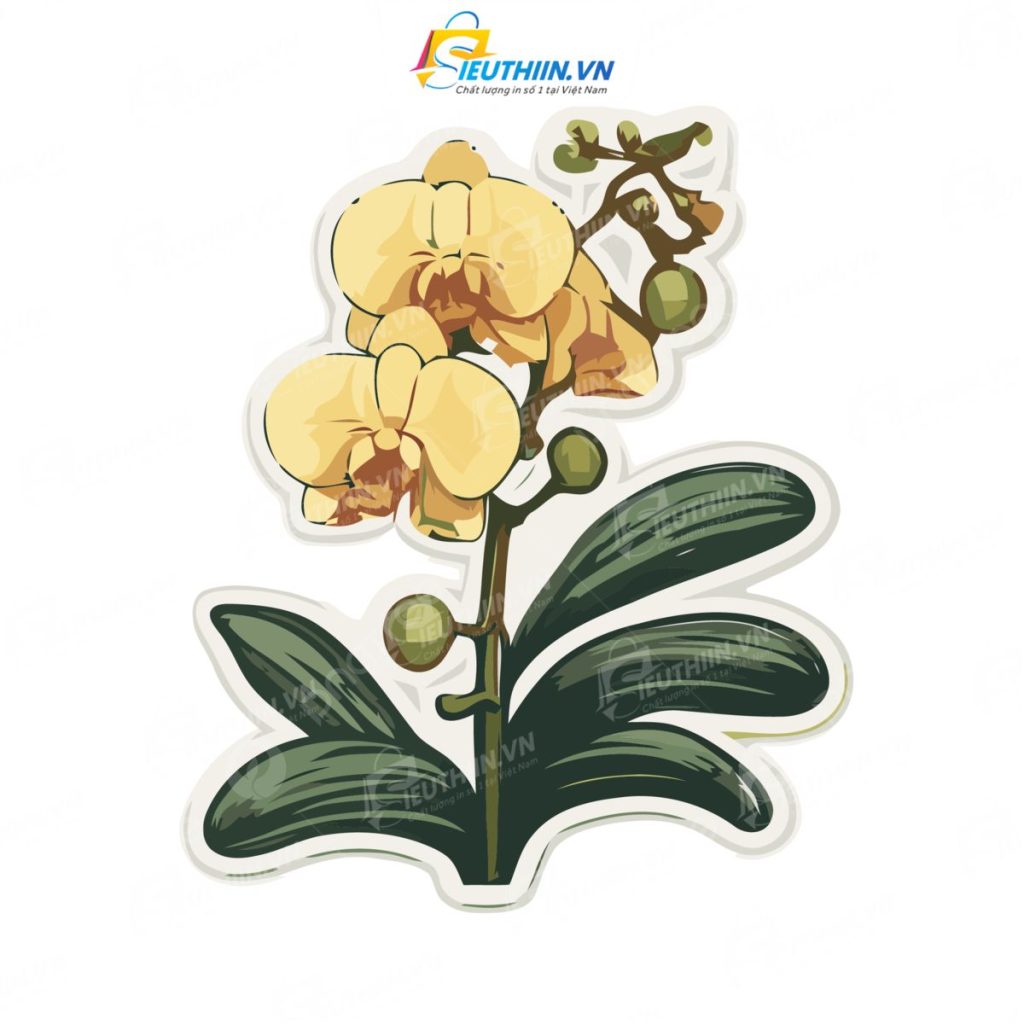 99+ Mẫu Sticker Hoa Đầy Màu Sắc, Ấn Tượng Và Thu Hút