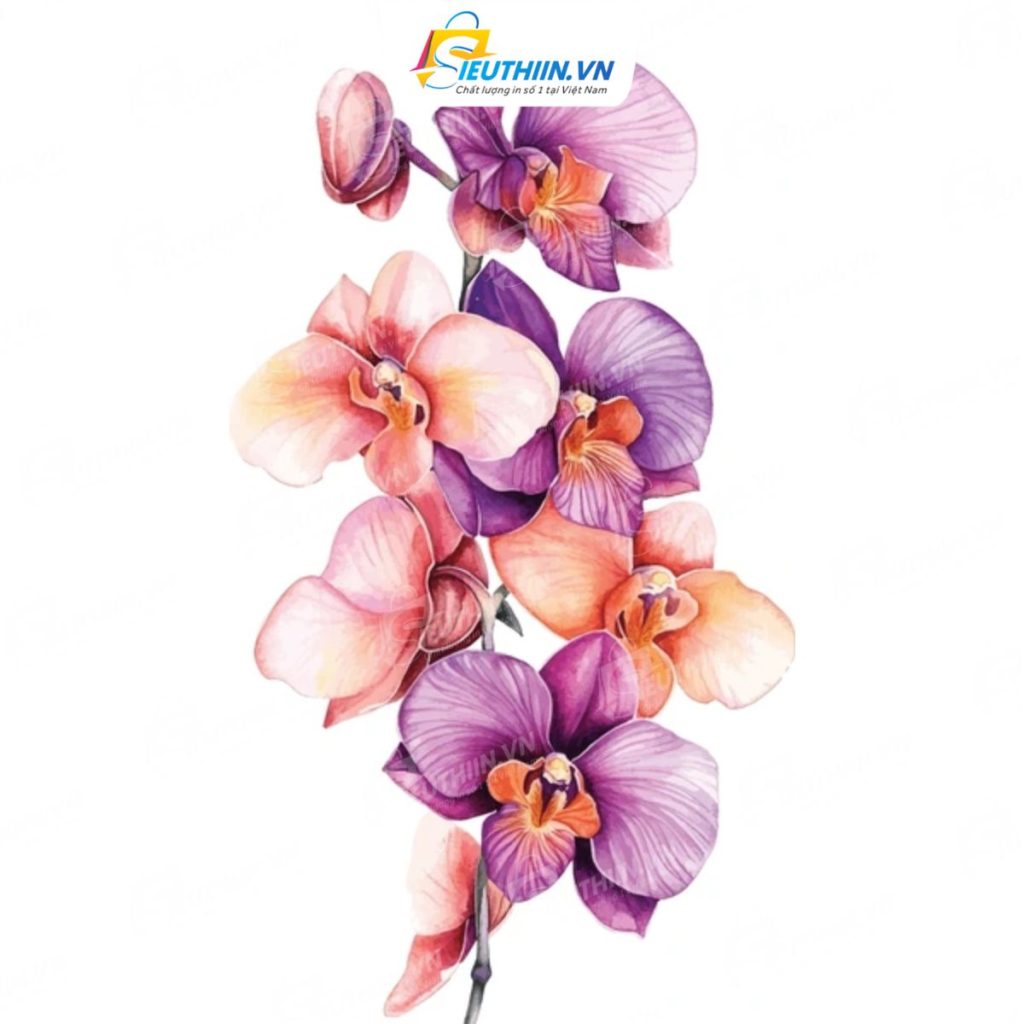 99+ Mẫu Sticker Hoa Đầy Màu Sắc, Ấn Tượng Và Thu Hút