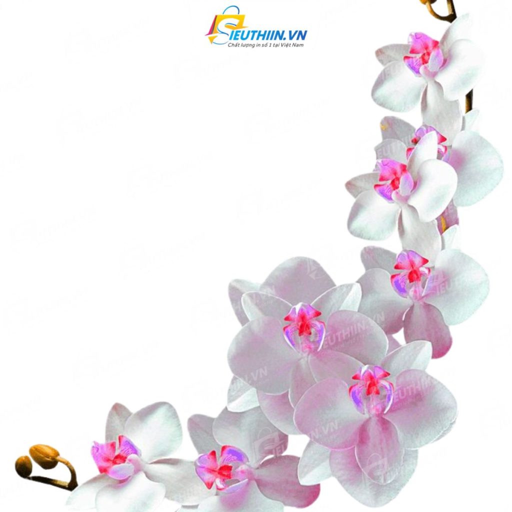 99+ Mẫu Sticker Hoa Đầy Màu Sắc, Ấn Tượng Và Thu Hút