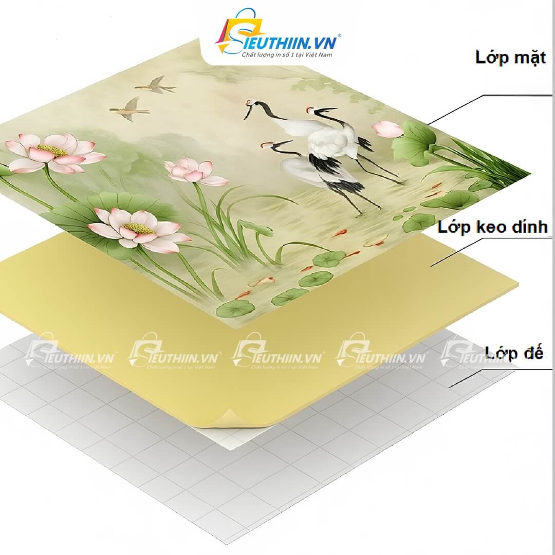 cau tao cua decal dan tuong